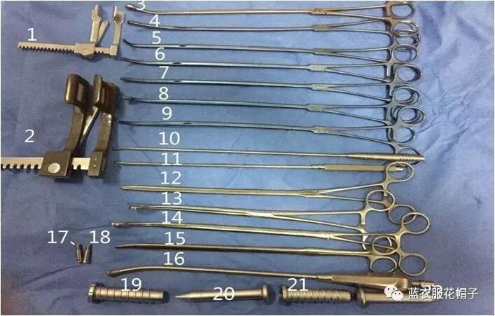 卵圆钳怎么持胸外科手术器械大汇总_https://www.jmylbn.com_新闻资讯_第17张