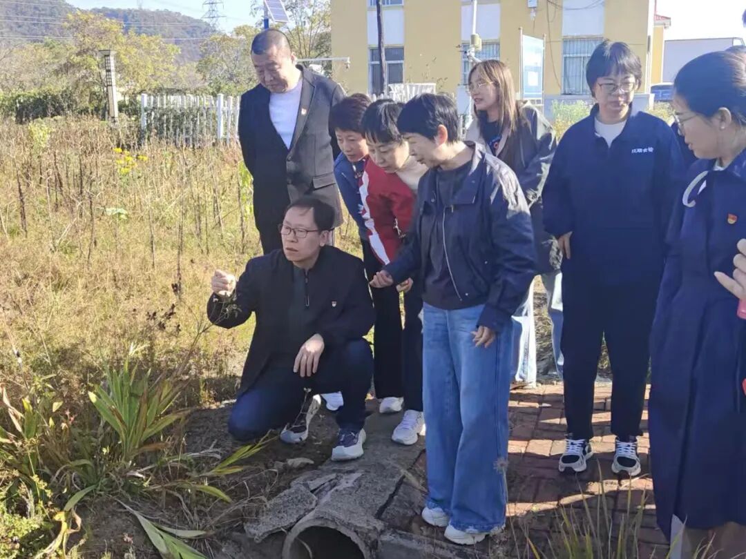 助力党建工作提质增效__中药材产业助力乡村振兴
