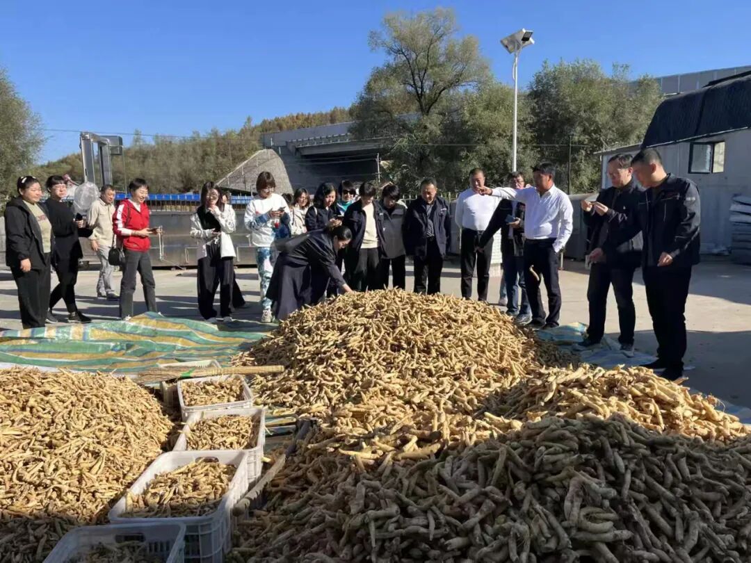 助力党建工作提质增效_中药材产业助力乡村振兴_
