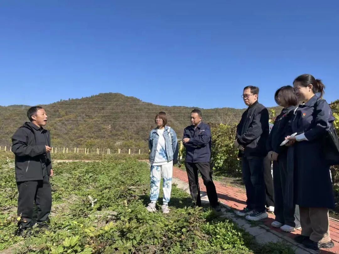 助力党建工作提质增效__中药材产业助力乡村振兴