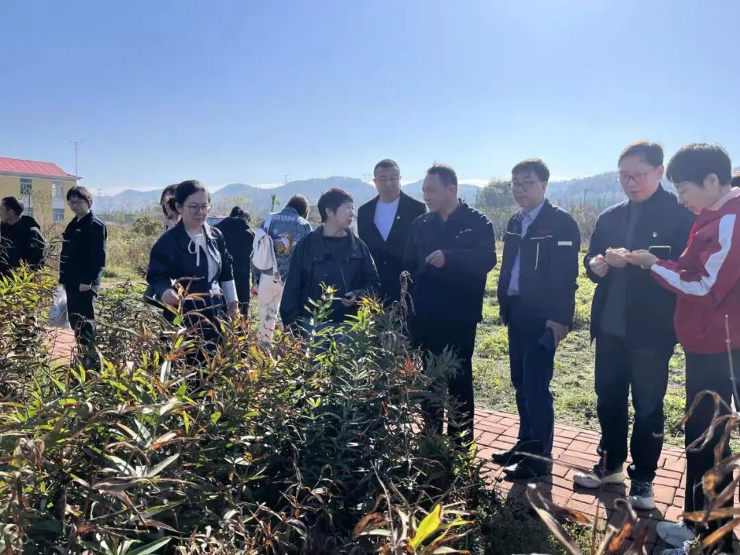 助力党建工作提质增效_中药材产业助力乡村振兴_