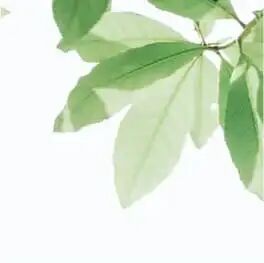 云南省马关县人民医院