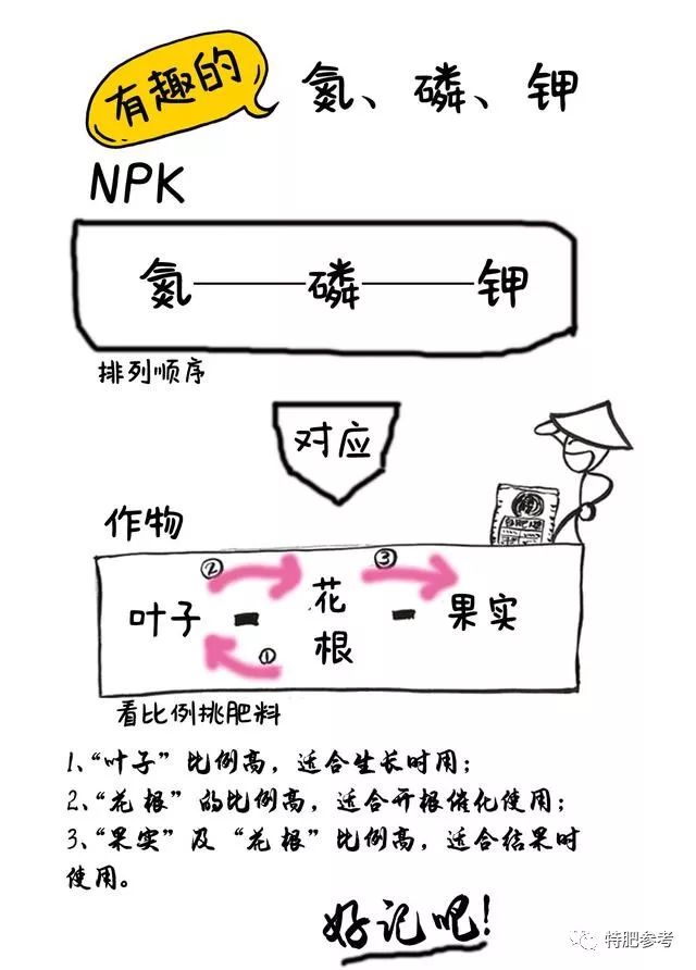 肥料知识普及篇 有趣的氮磷钾 植物生长就靠它 特肥参考 微信公众号文章阅读 Wemp