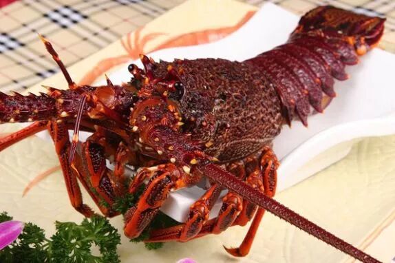 古巴龙虾和澳龙哪个贵_青龙虾和澳龙怎么区别_澳龙和波士顿龙虾的区别