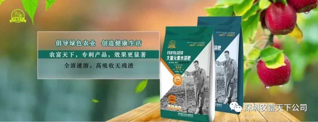 桃树水溶肥