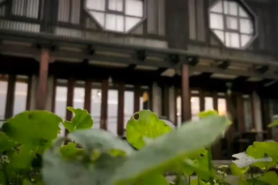 ħ���½��������ݡ������ռ䣬������