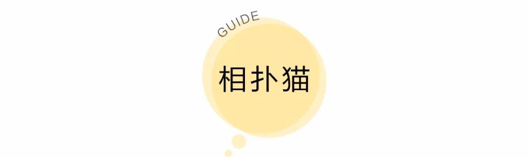 魔都日韓燒肉不完全指南 美食 第6張