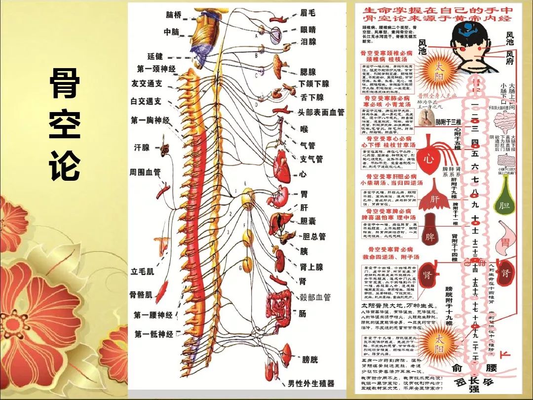 【针灸认识】“骨空论”是什么