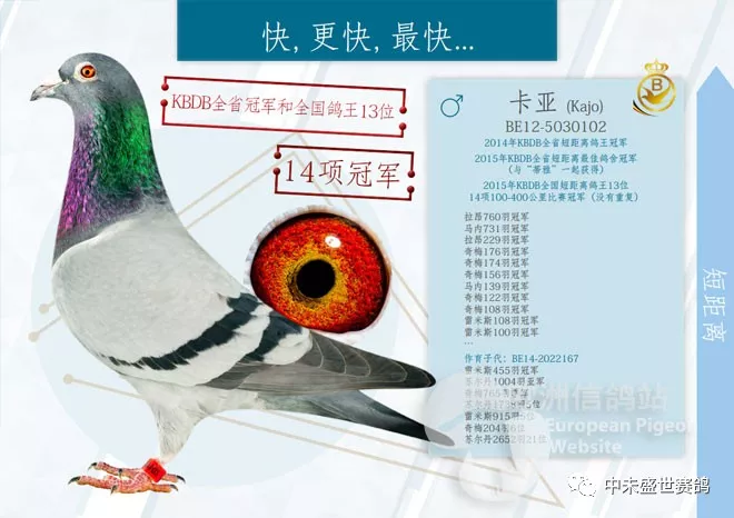 1481011533924493.jpg