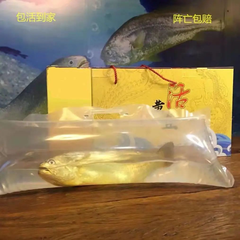 蓝色牧场活黄鱼小郑标识
