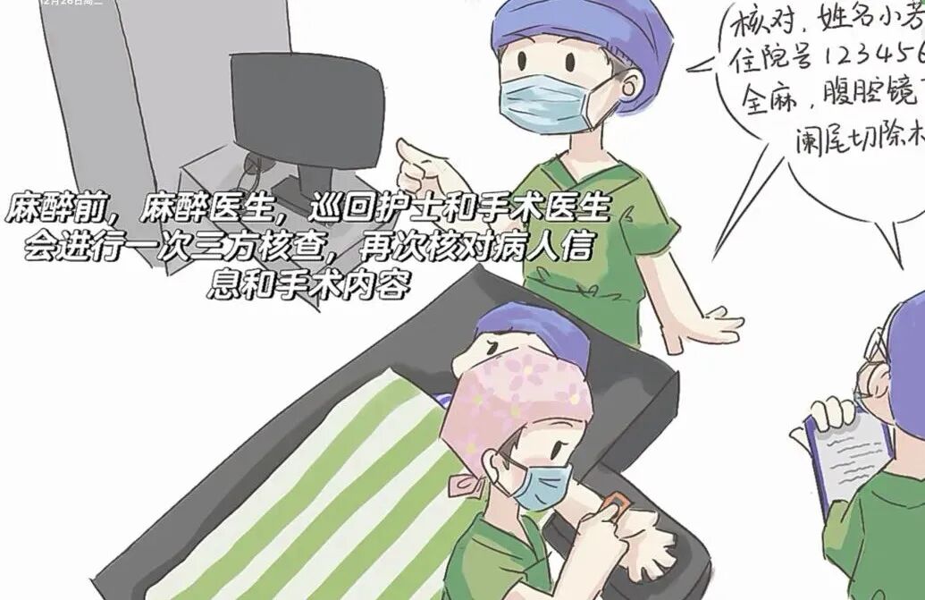 什么是血球仪快躺在手术台上了，看看你需要做些什么！_https://www.jmylbn.com_新闻资讯_第16张