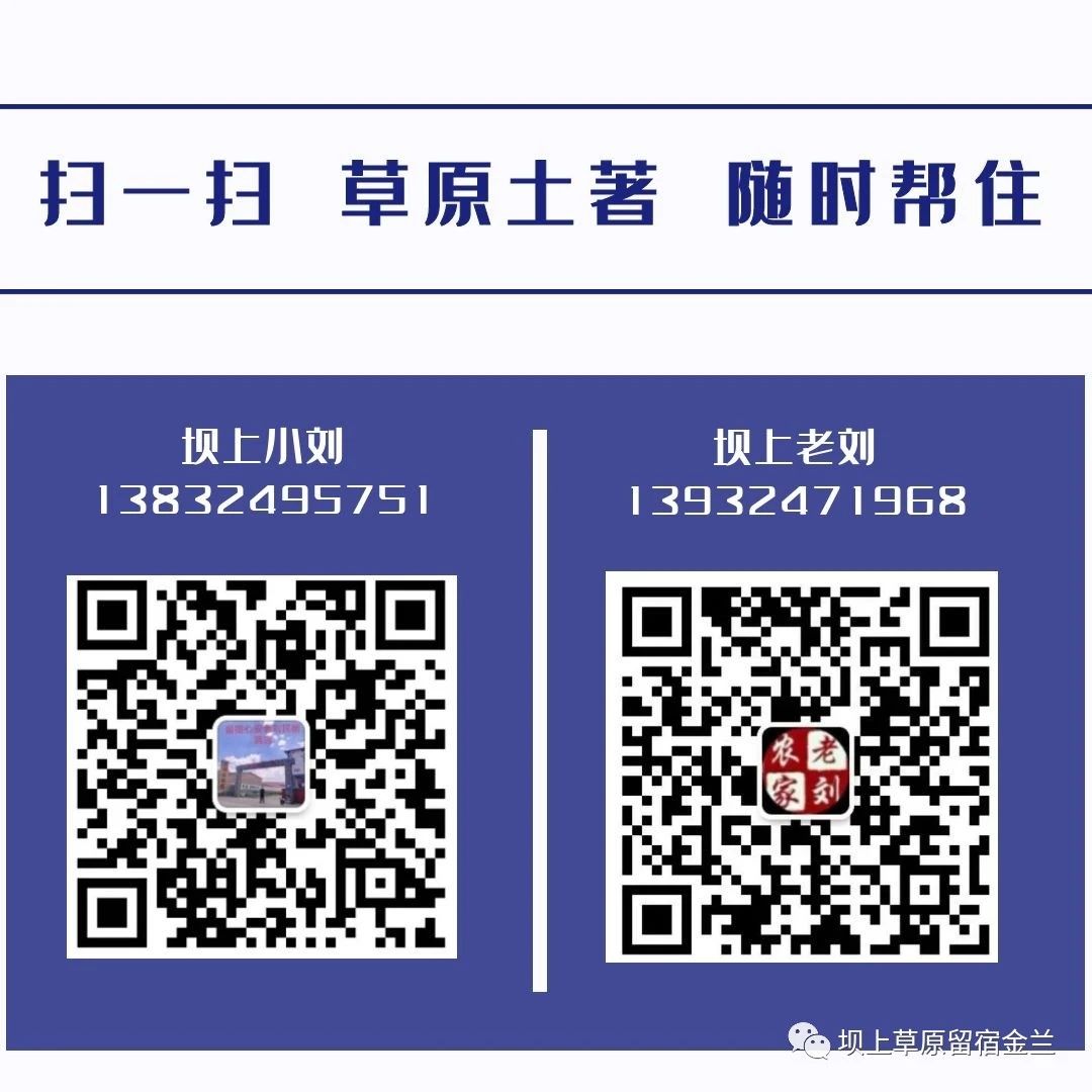 草莓app无限制观看