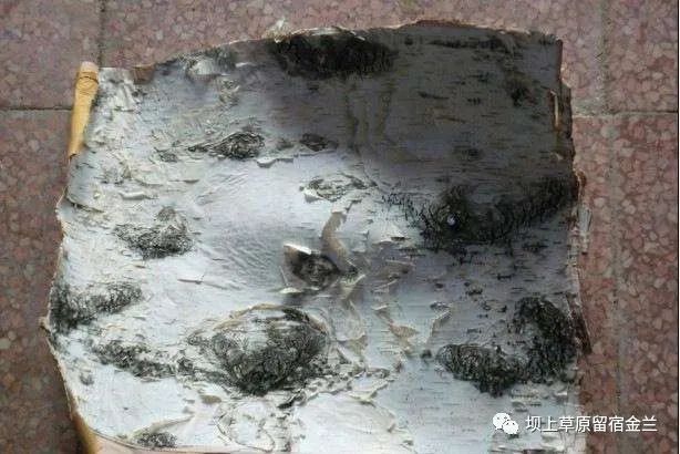番茄直播app社区