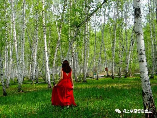 番茄直播app社区