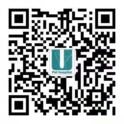 猫：我要成为一位“准妈妈”啦！