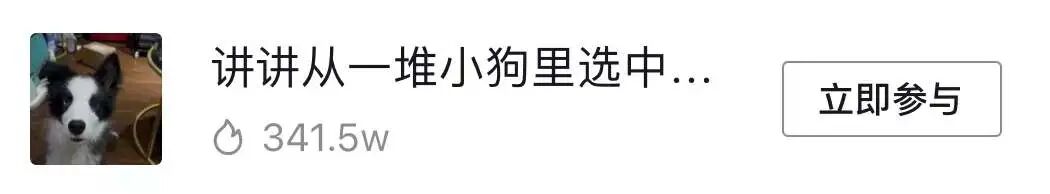 狗狗刚到新家，这些东西你都准备好了吗？