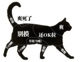 这么温柔的主子，怎么会咬人呢？