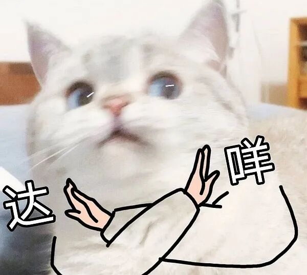 这么温柔的主子，怎么会咬人呢？