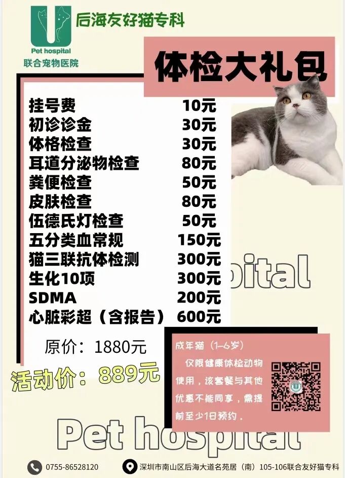 这么温柔的主子，怎么会咬人呢？