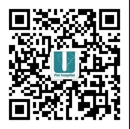 养宠福利安排上了，你家主子还缺啥？