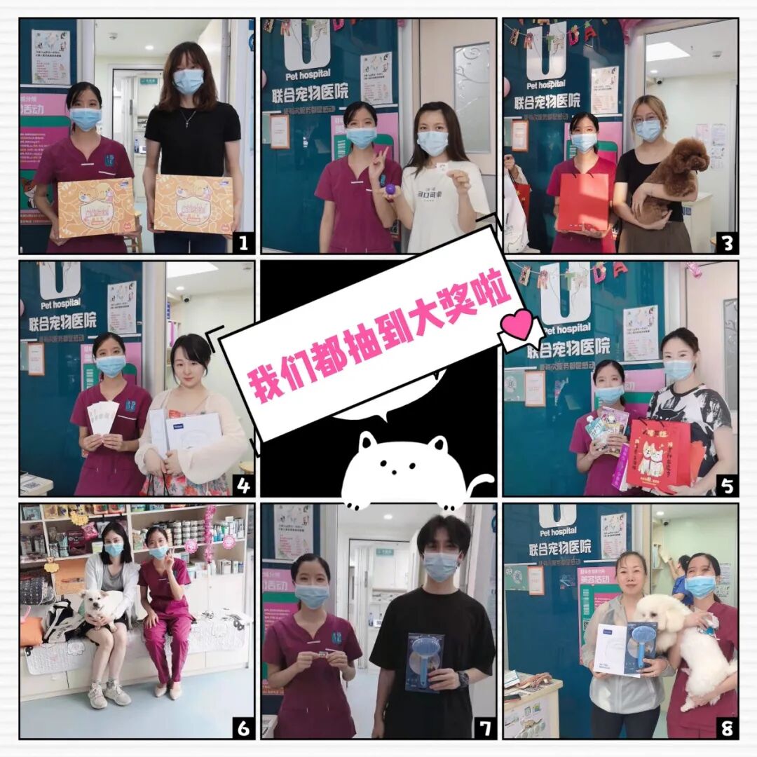 养宠福利安排上了，你家主子还缺啥？