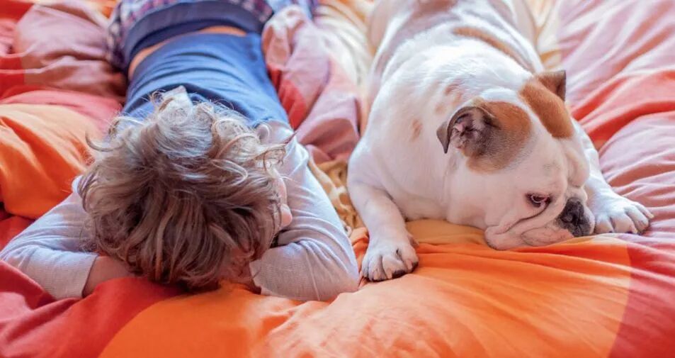 狗狗睡姿大赏，你家有同款吗？