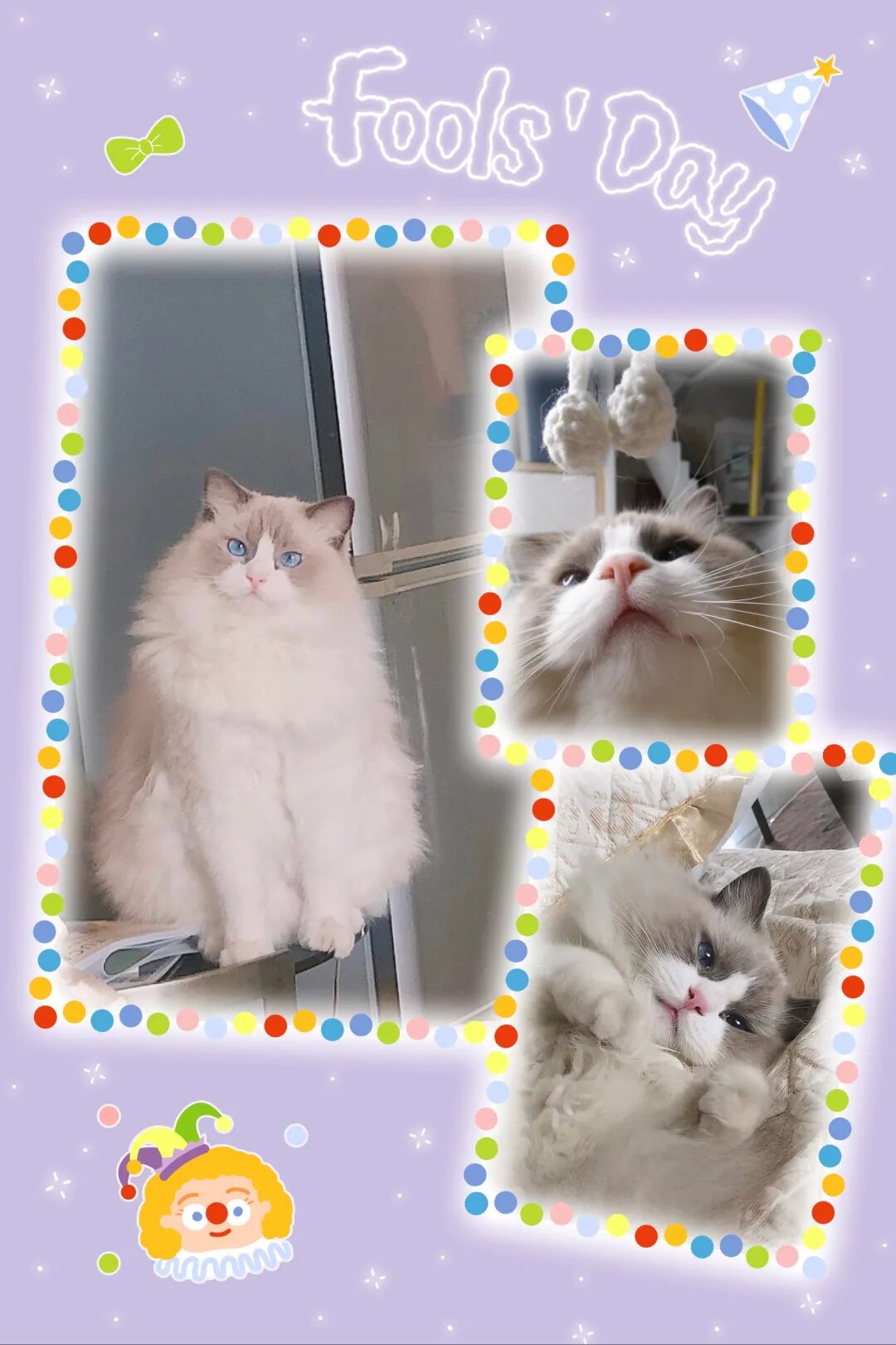 萌宠首秀，到底谁才能c位出道？