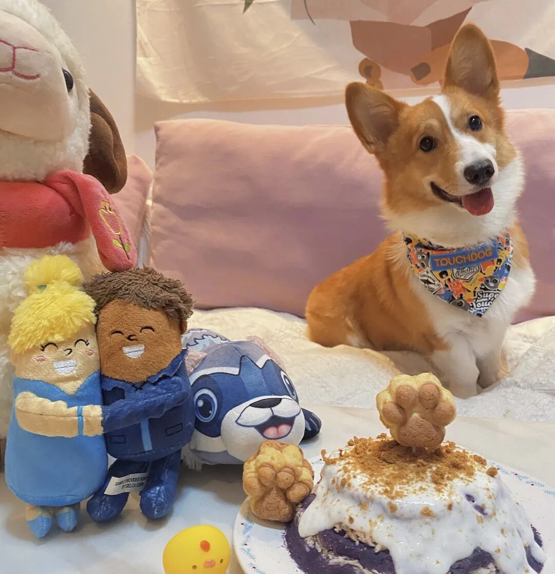 萌宠首秀，到底谁才能c位出道？