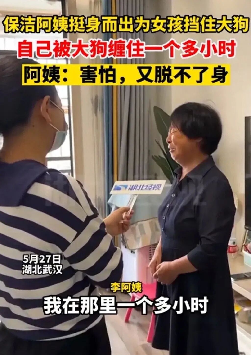 被困一小时！又是遛狗不牵绳引起的！