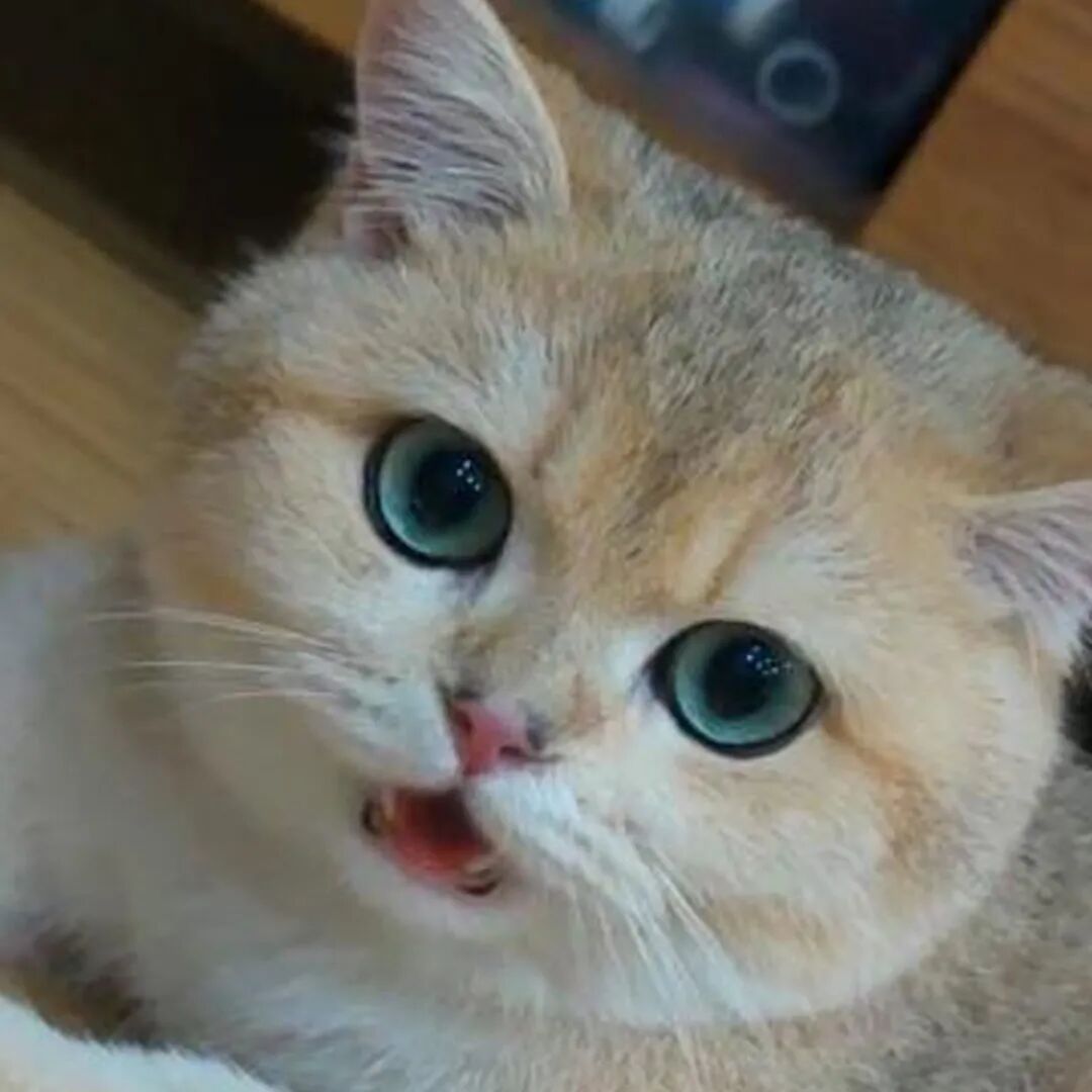 差一票？差哪票？你手上那一票！