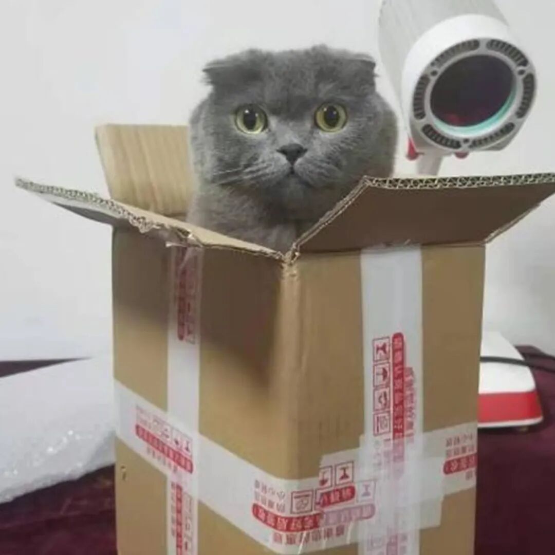 差一票？差哪票？你手上那一票！