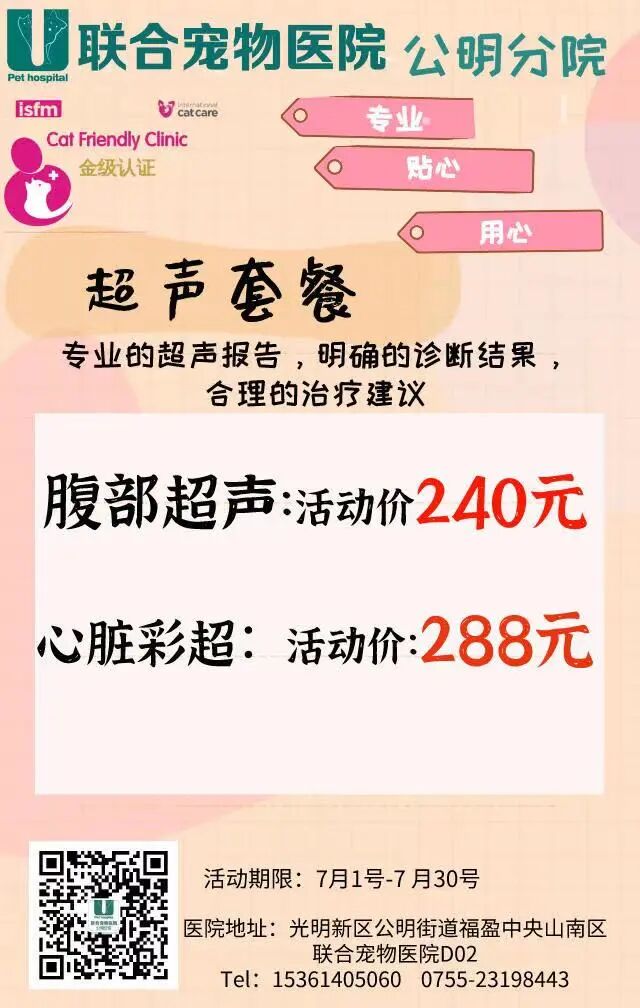 差一票？差哪票？你手上那一票！