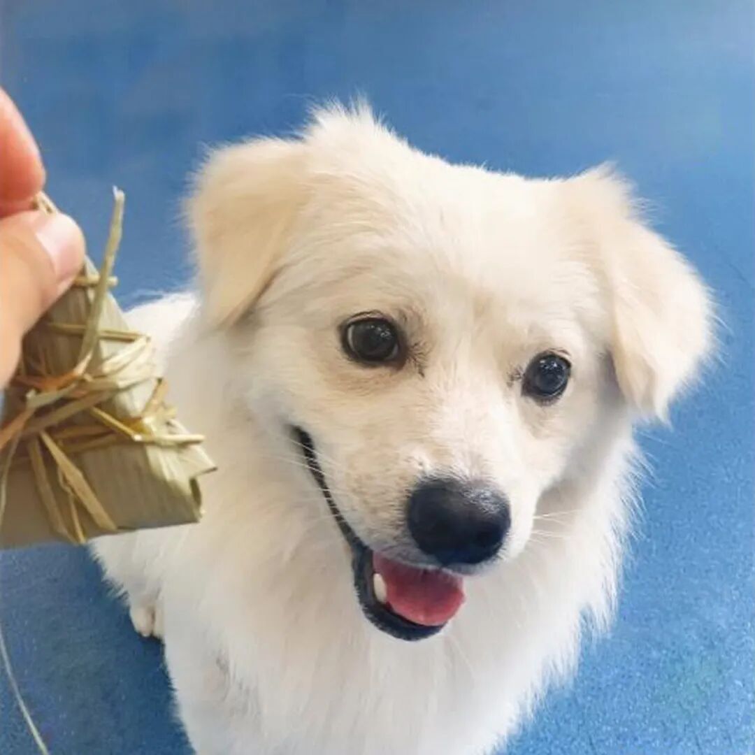 差一票？差哪票？你手上那一票！