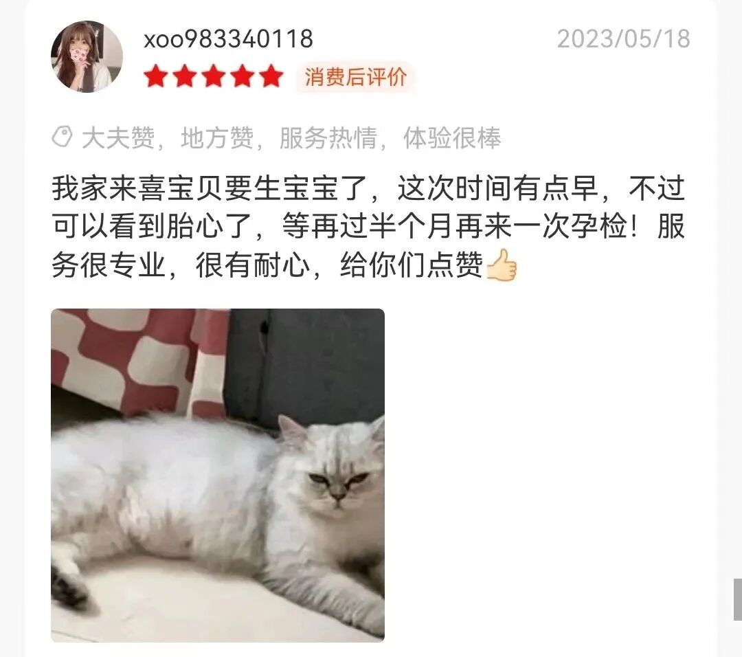 你知道猫咪怀孕有哪些表现吗？
