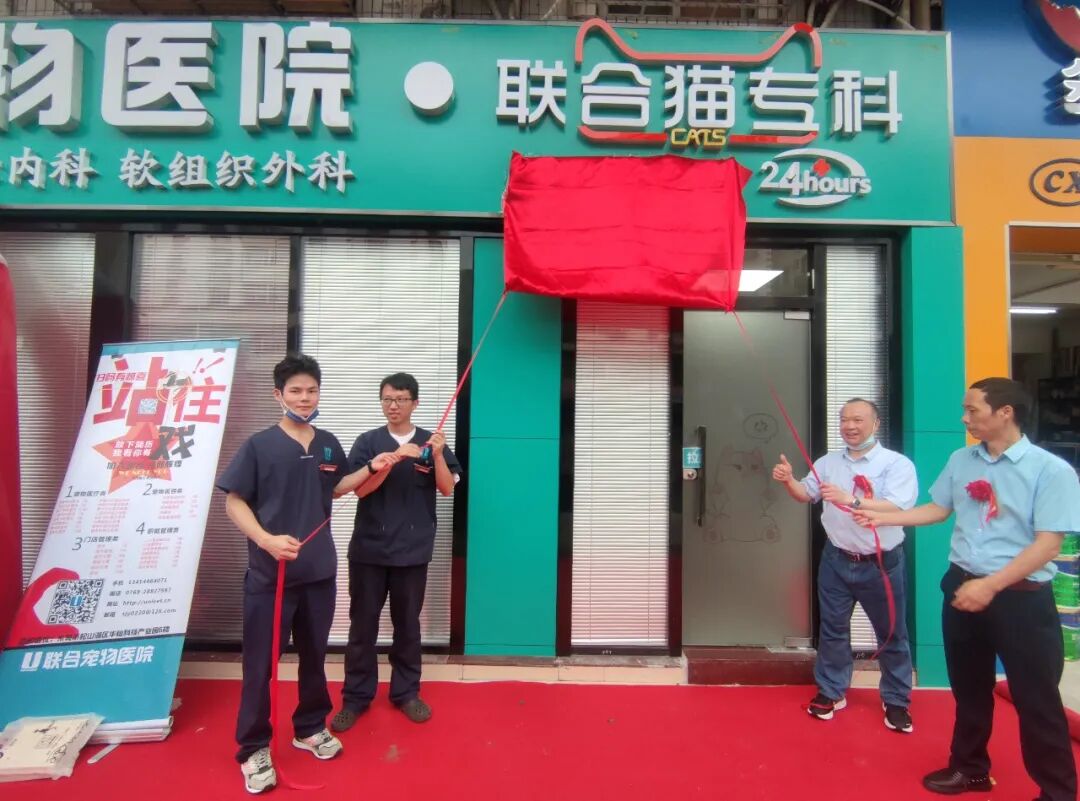 七夕那天，我吃的可是“猫粮”！