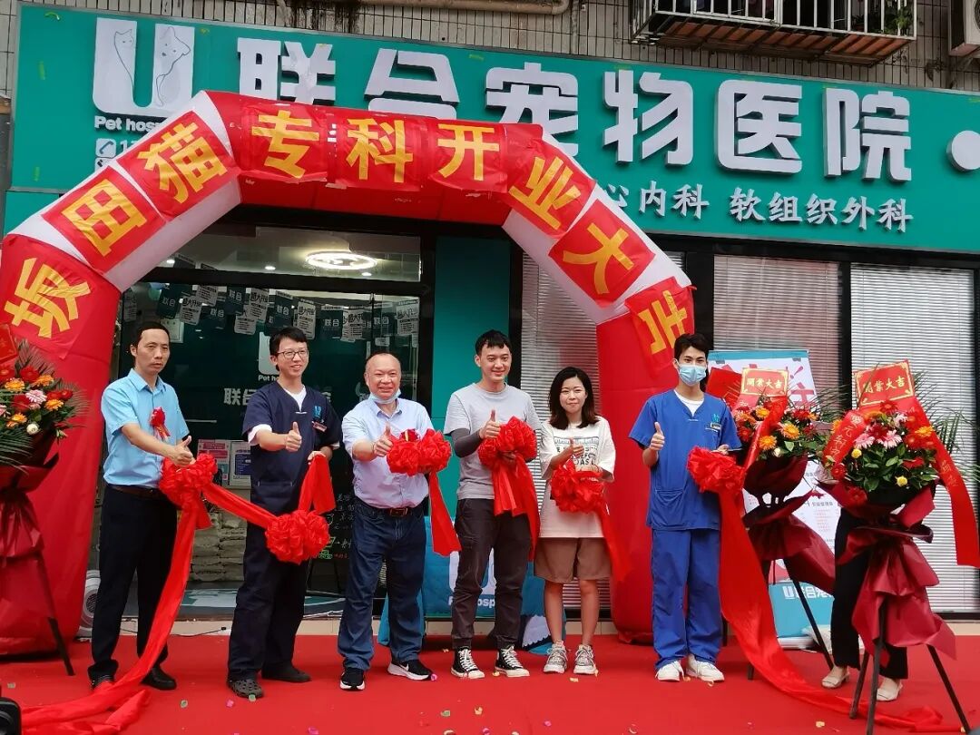 七夕那天，我吃的可是“猫粮”！