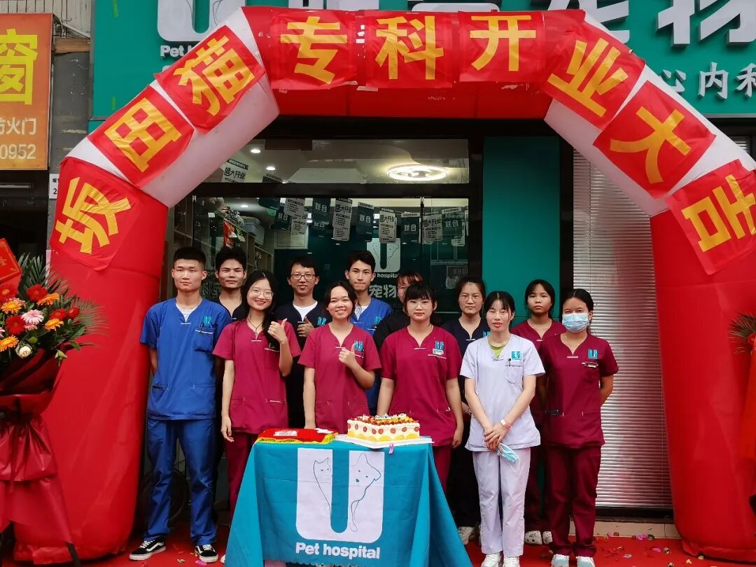 七夕那天，我吃的可是“猫粮”！