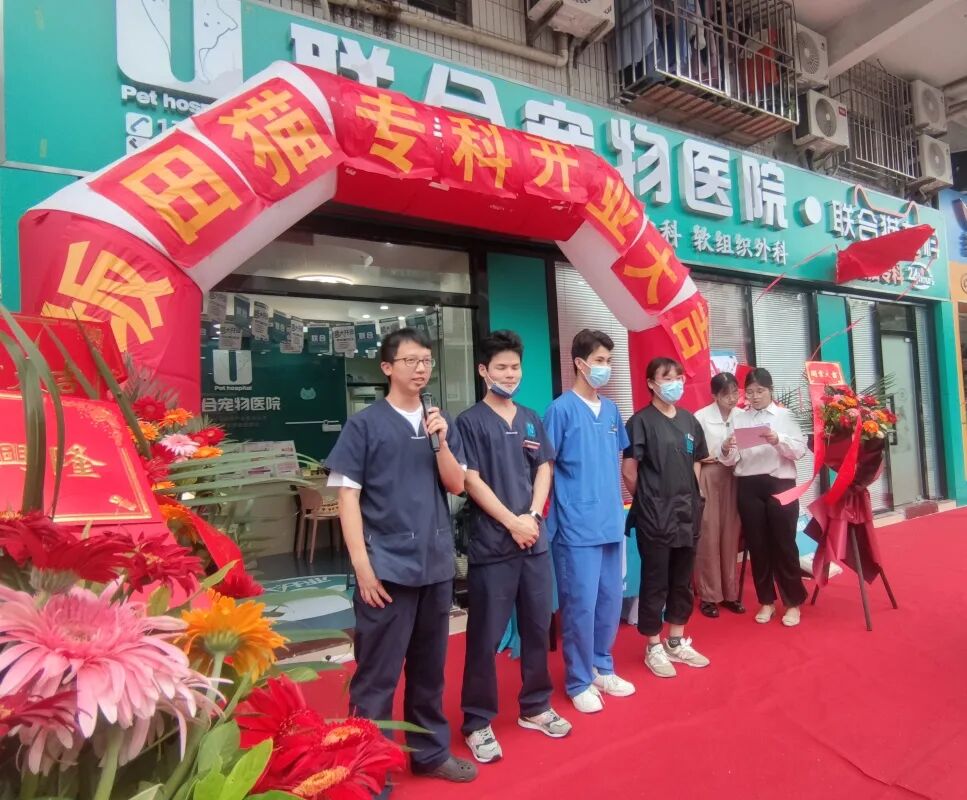 七夕那天，我吃的可是“猫粮”！