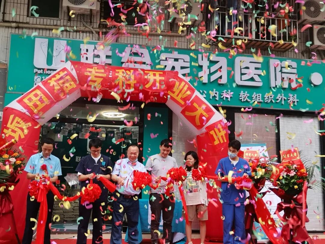 七夕那天，我吃的可是“猫粮”！