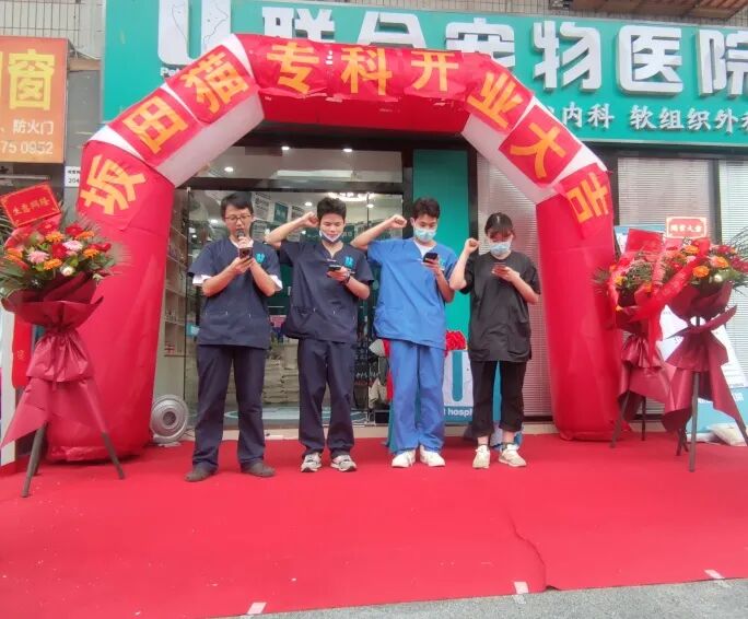 七夕那天，我吃的可是“猫粮”！