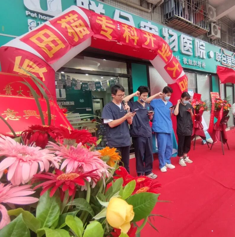 七夕那天，我吃的可是“猫粮”！