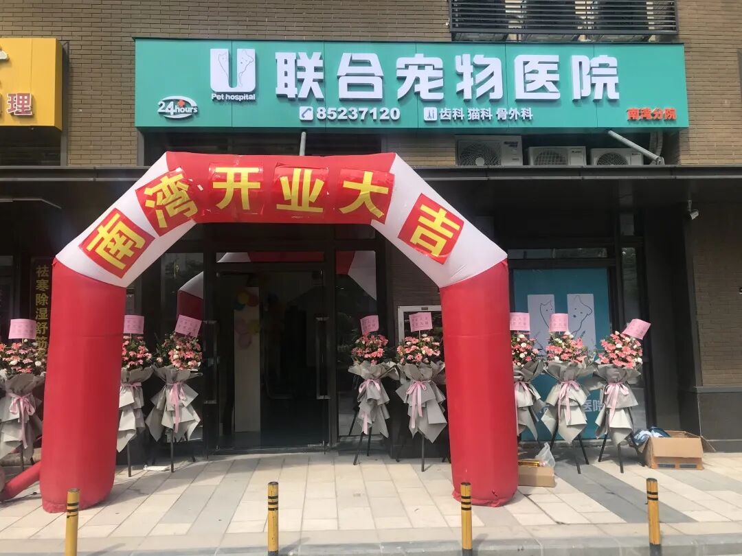 活动篇 | 南湾分院开业仪式盛大启幕！