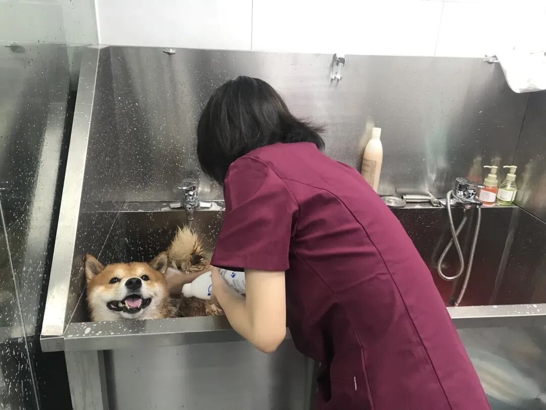 活动篇 | 南湾分院开业仪式盛大启幕！