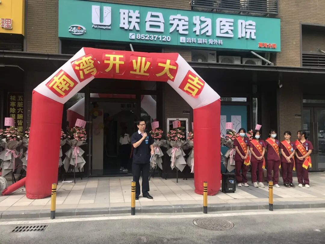 活动篇 | 南湾分院开业仪式盛大启幕！