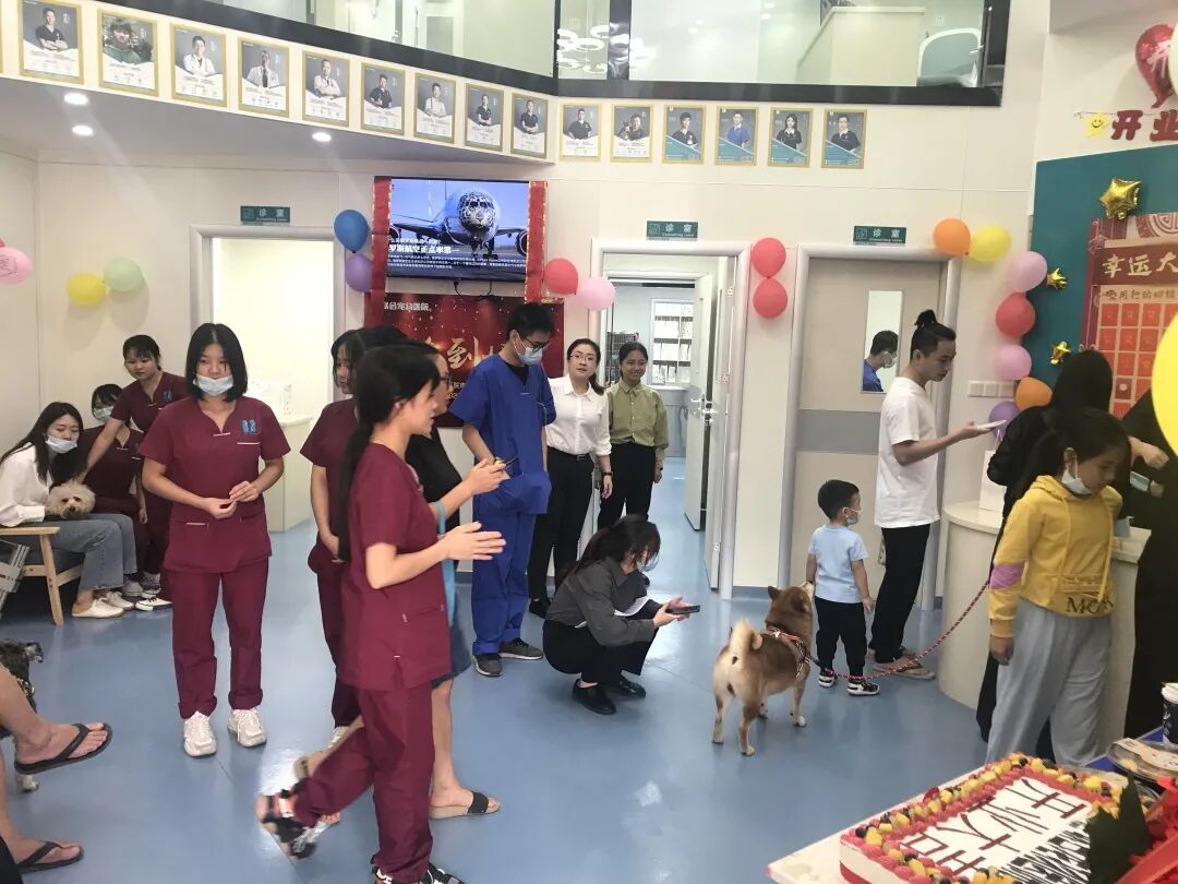 活动篇 | 南湾分院开业仪式盛大启幕！