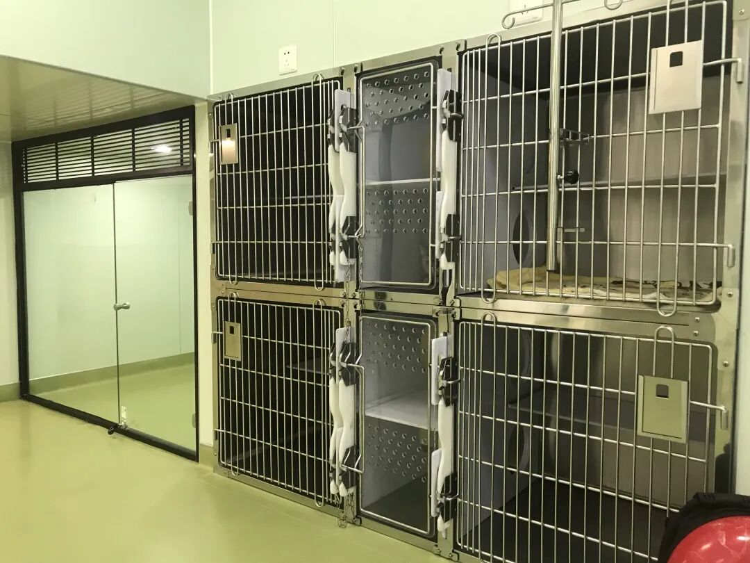 活动篇 | 南湾分院开业仪式盛大启幕！