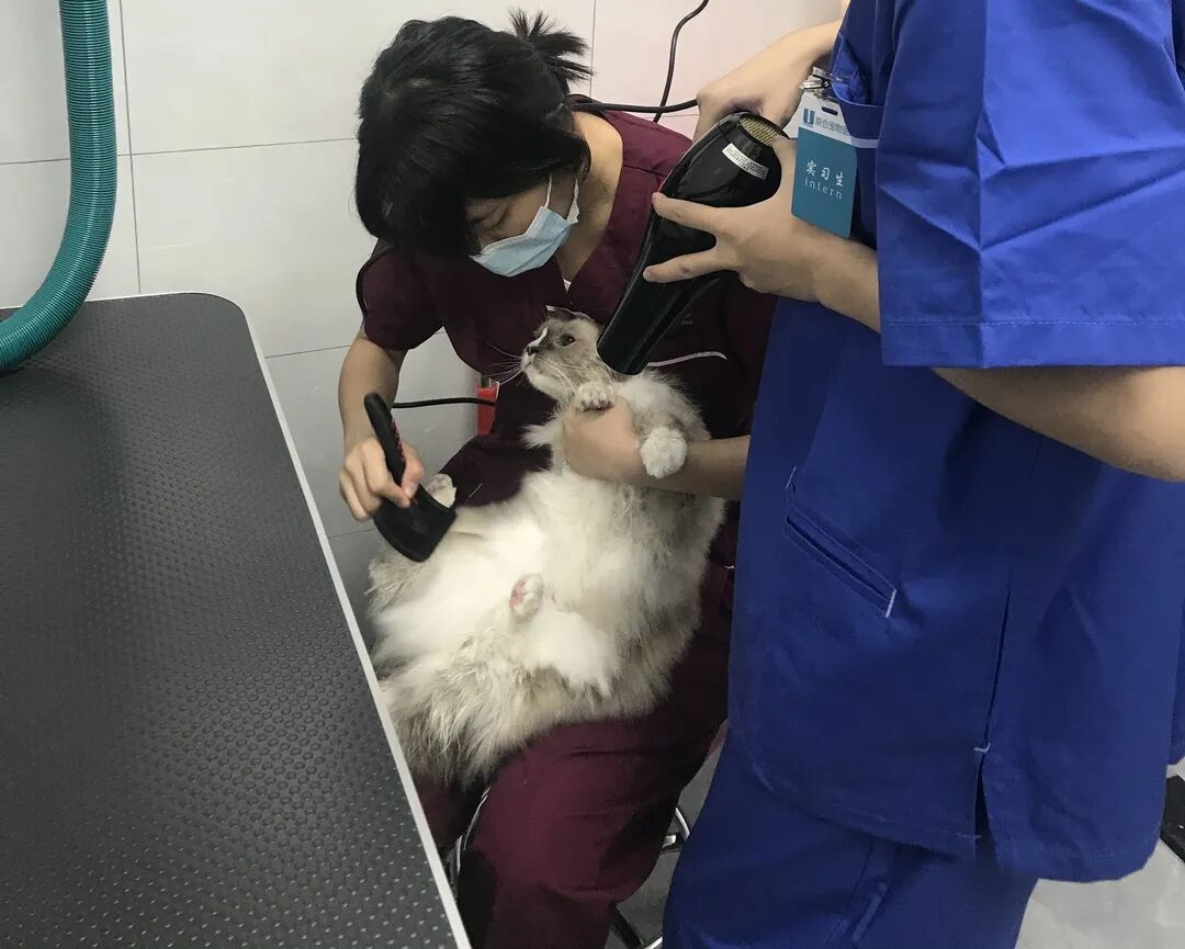 活动篇 | 南湾分院开业仪式盛大启幕！