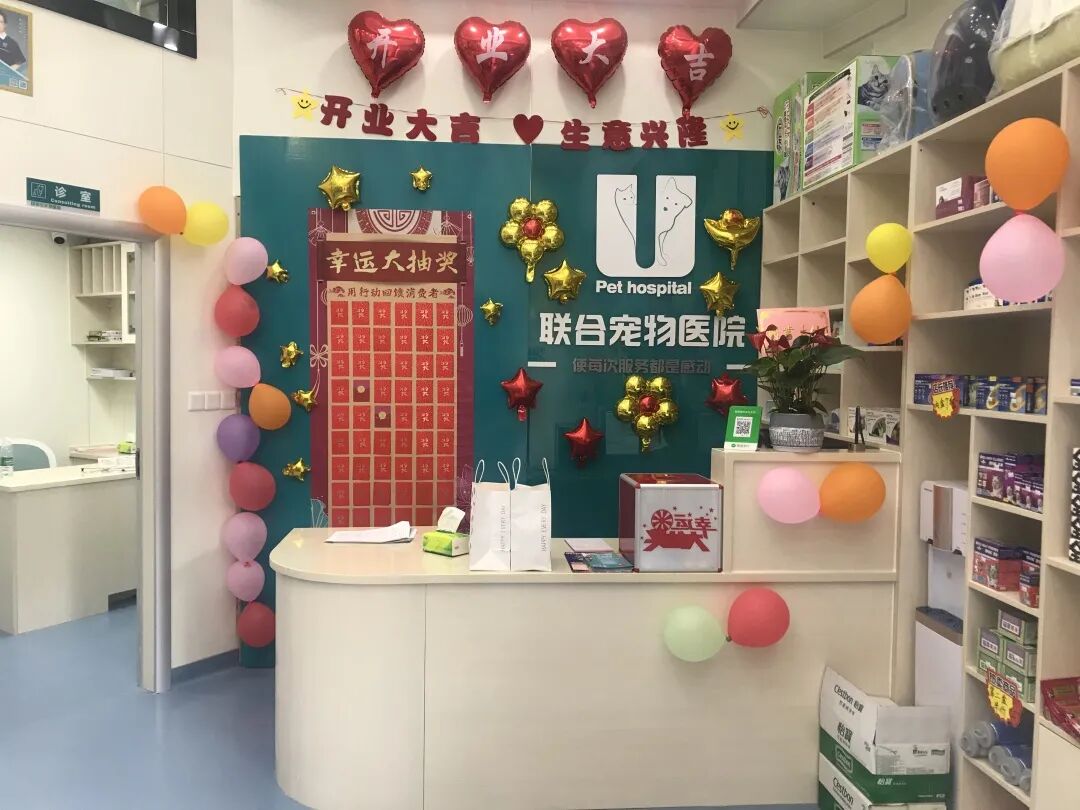 活动篇 | 南湾分院开业仪式盛大启幕！