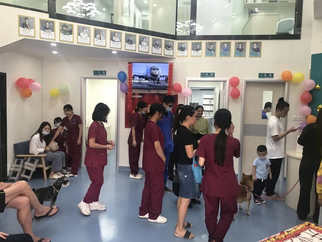 活动篇 | 南湾分院开业仪式盛大启幕！