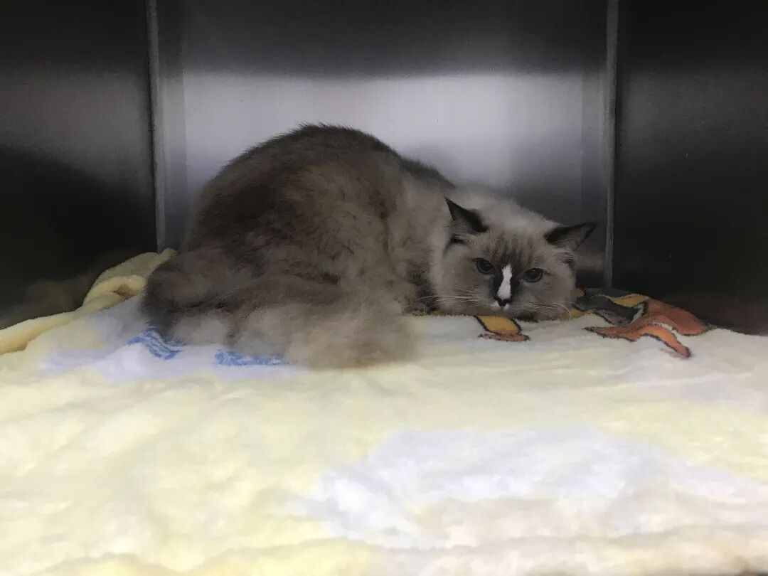 活动篇 | 南湾分院开业仪式盛大启幕！